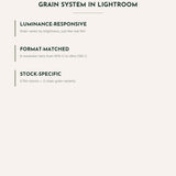 Dynamic Film Grain Presets